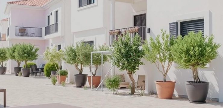 Tenant Insurance Requirements in Cyprus Rental Properties